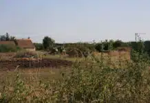 Estimer un terrain : conseils et astuces pratiques