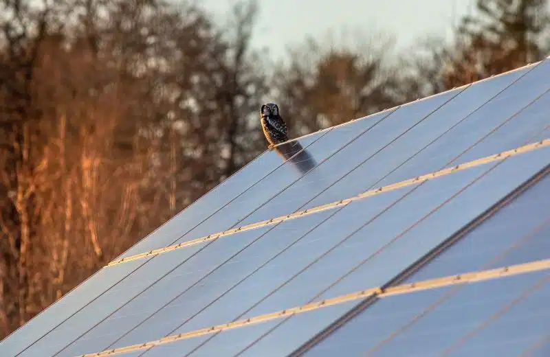 Panneaux solaires et défiscalisation : L’alliance parfaite pour votre budget énergétique