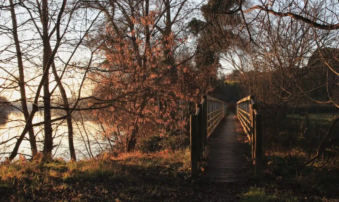 Comment choisir une agence immobilière en Gironde ?