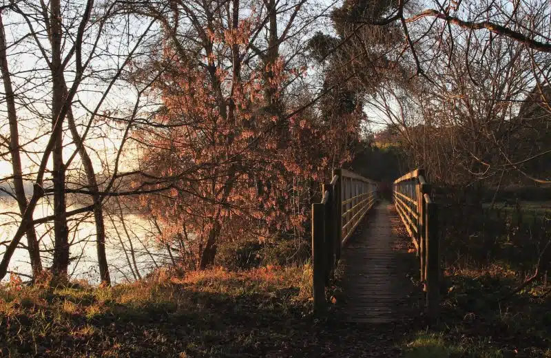 Comment choisir une agence immobilière en Gironde ?