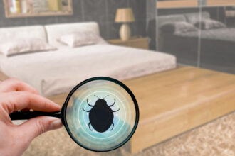 Comment désinsectiser les punaises de lit à Cognin ?