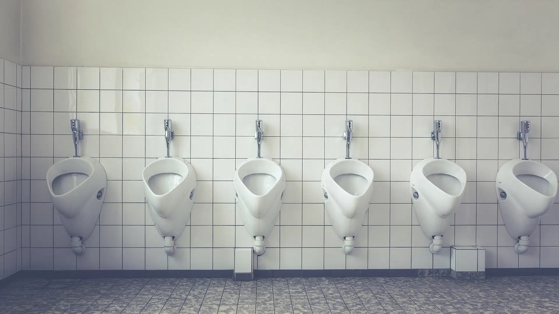 Pourquoi faut-il faire appel à un professionnel pour le remplacement d’une chasse d’eau ?