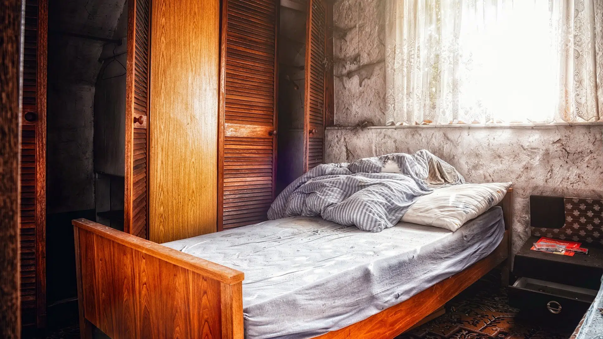 Punaises de lit, quand faut-il faire appel à une entreprise de désinsectisation ?